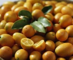 Tout savoir sur le kumquat et ses bienfaits pour la peau