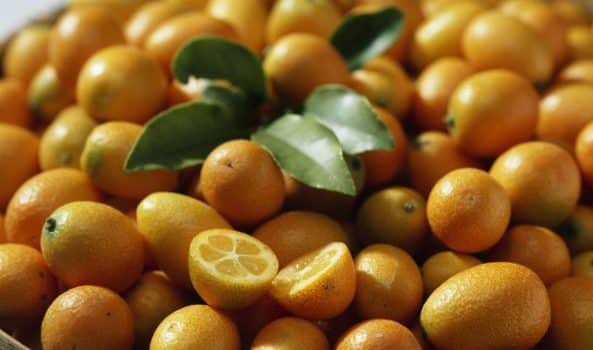 Tout savoir sur le kumquat et ses bienfaits pour la peau