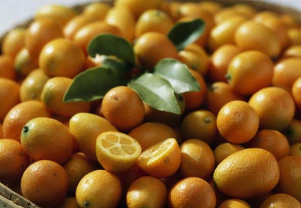 Tout savoir sur le kumquat et ses bienfaits pour la peau